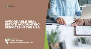 Affordable Real Estate Accounting Services in the USA